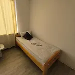 Nurnberg نورنبيرغ
